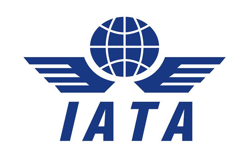 Organizatiile internationale de turism-IATA